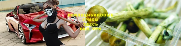 гашик Белоозёрский
