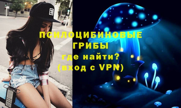 соль курить ск Богданович