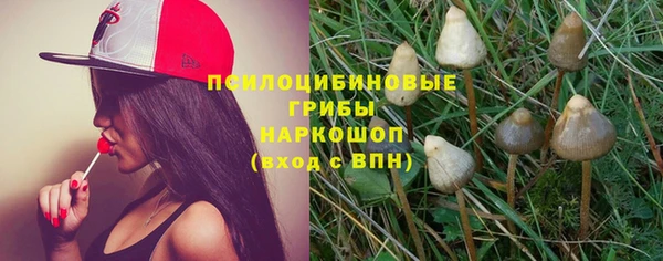 гашик Белоозёрский
