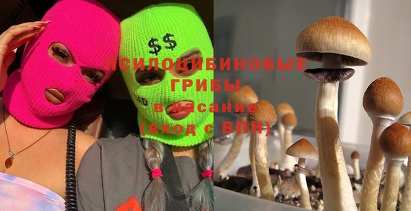 мдпв Белокуриха