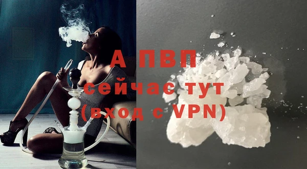 гашик Белоозёрский