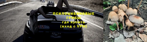 экстази Богородицк