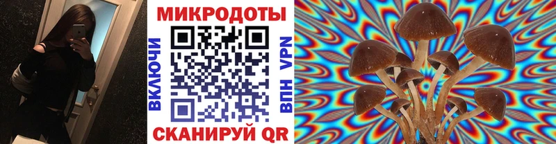 Псилоцибиновые грибы MAGIC MUSHROOMS Плёс